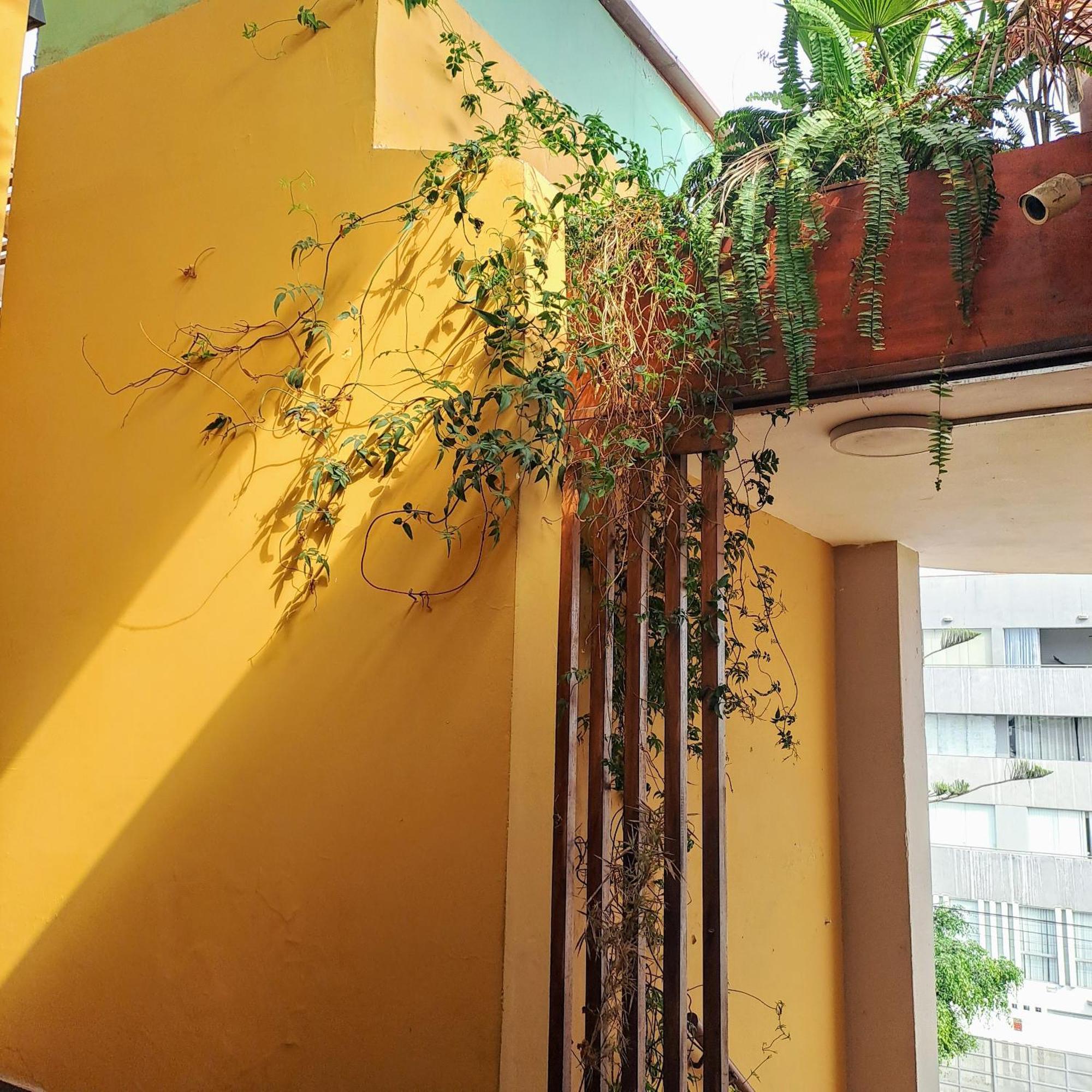 Luxury Andino Ciudad Real & 1 Bed *